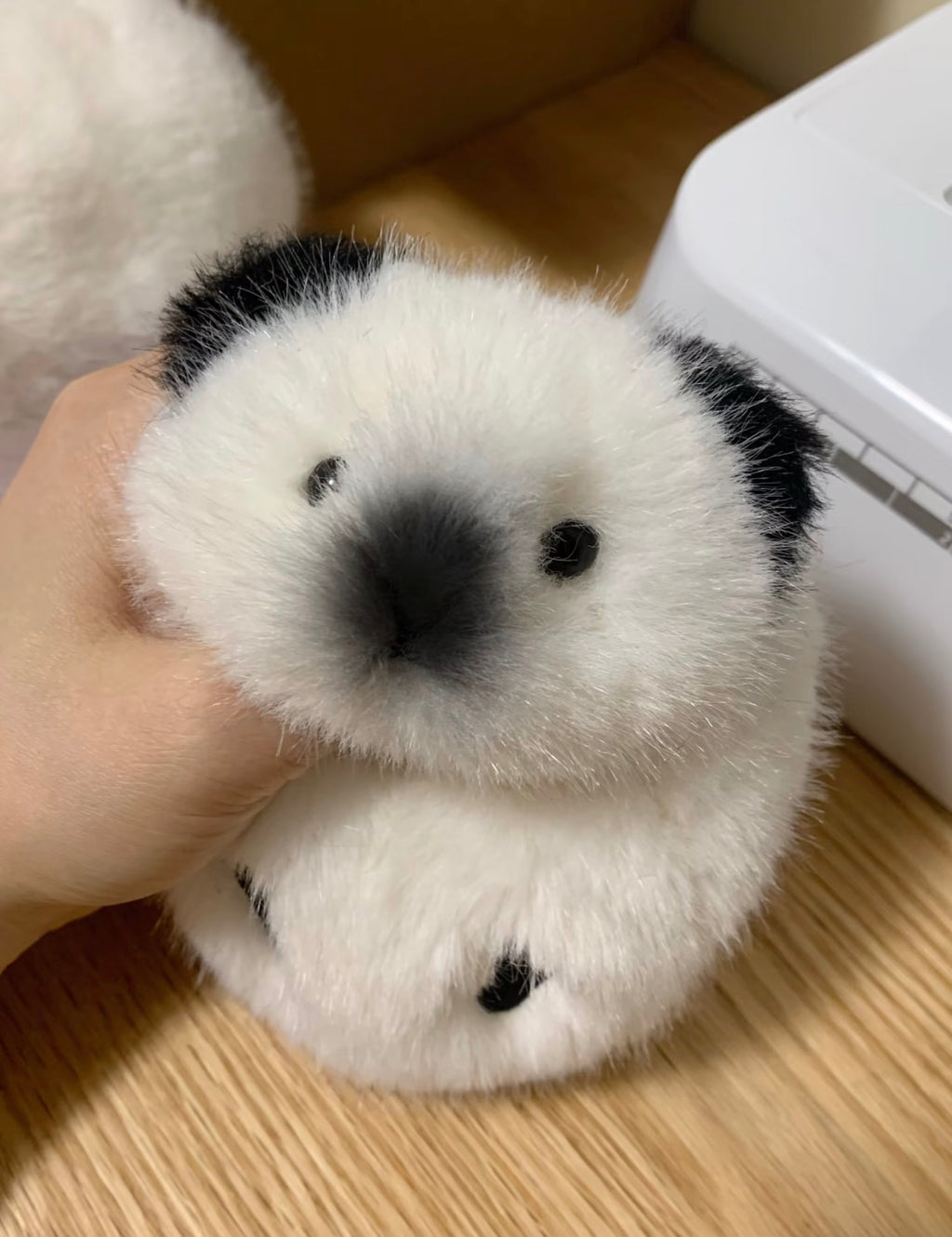 Guinea Pig Plush Toy