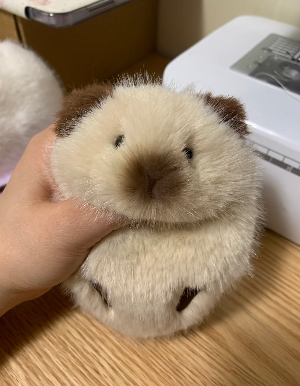 Guinea Pig Plush Toy