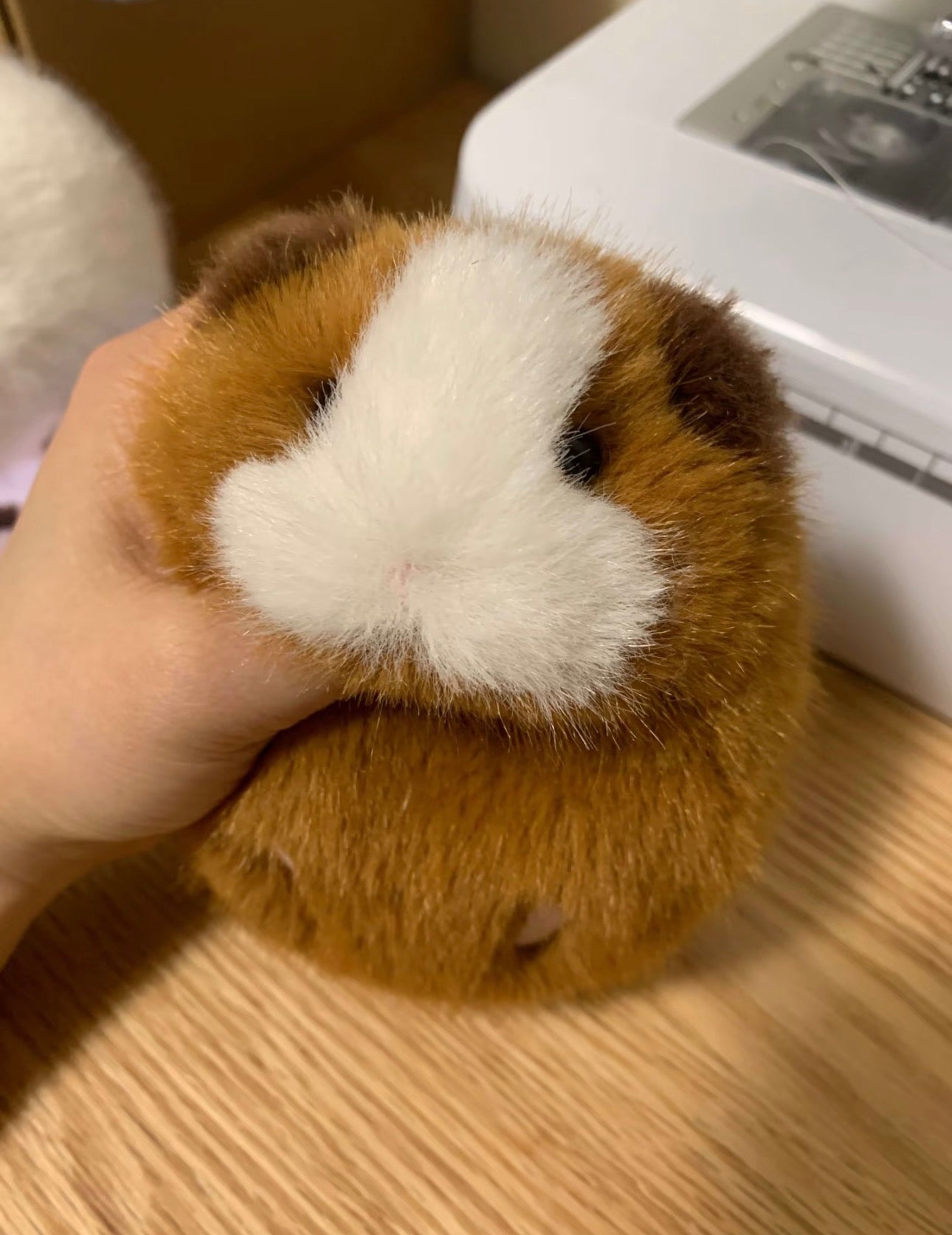 Guinea Pig Plush Toy